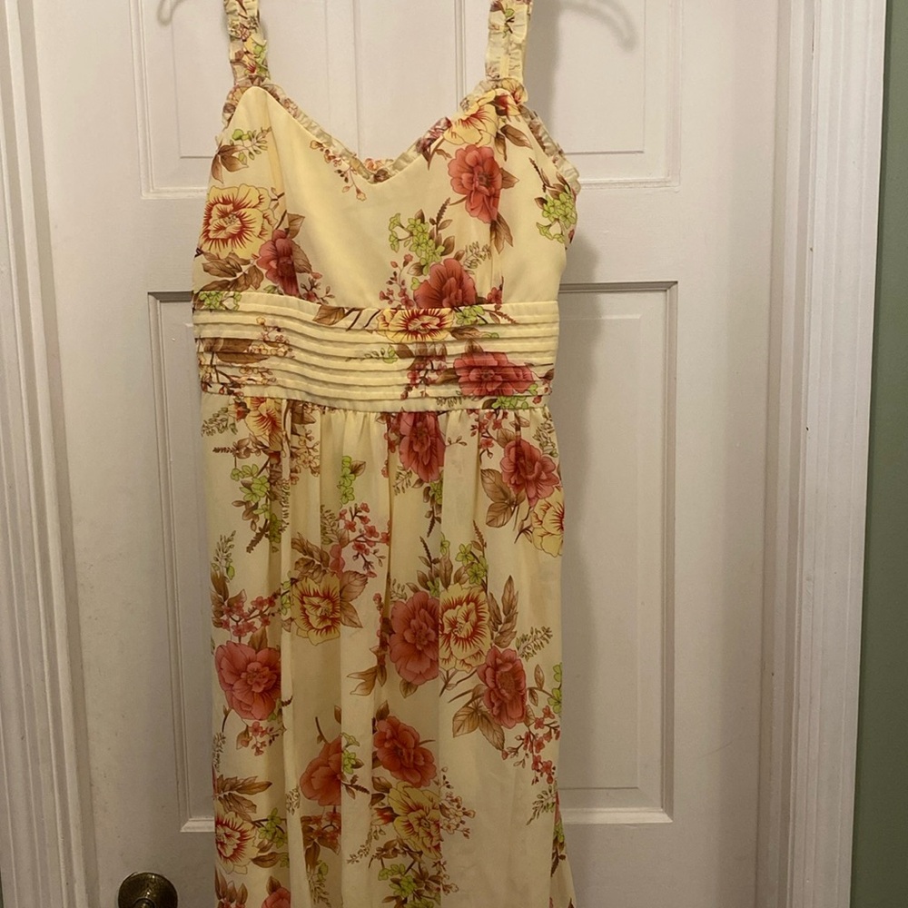 Scarlett Dress EUC Size 16